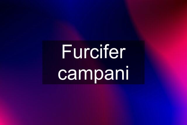 Furcifer campani