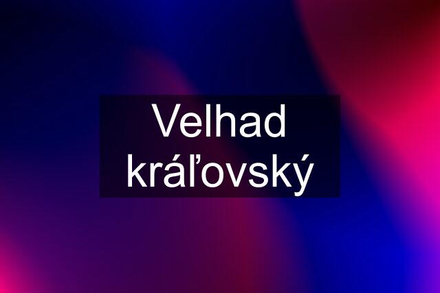 Velhad kráľovský