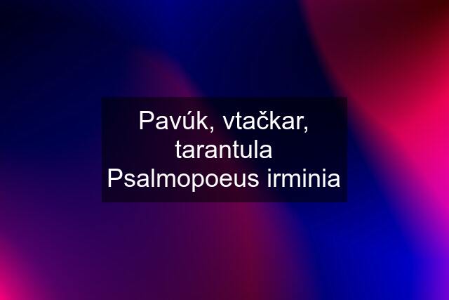 Pavúk, vtačkar, tarantula Psalmopoeus irminia