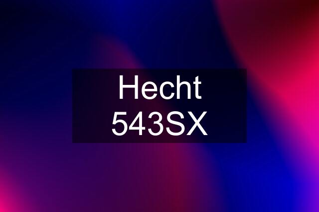 Hecht 543SX