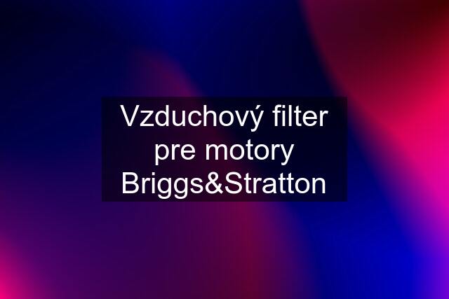 Vzduchový filter pre motory Briggs&Stratton