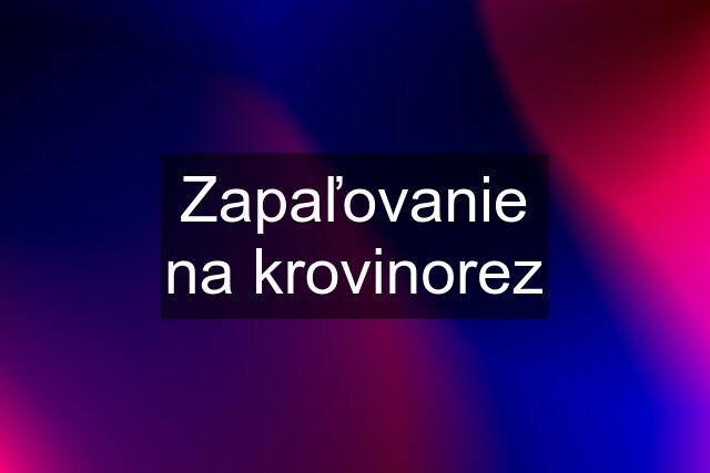 Zapaľovanie na krovinorez