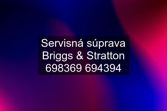 Servisná súprava Briggs & Stratton 69