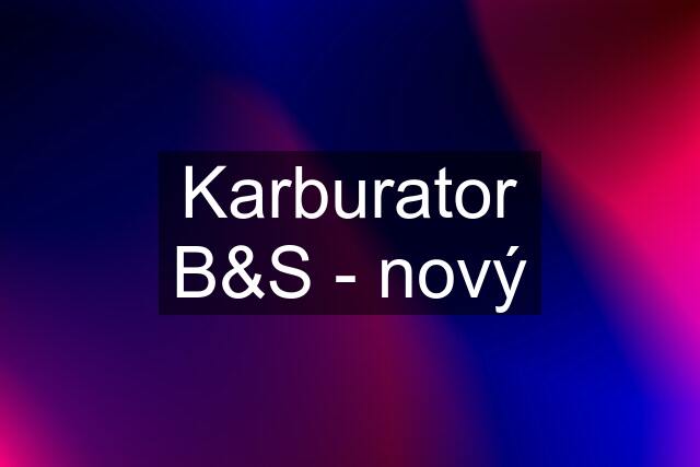 Karburator B&S - nový