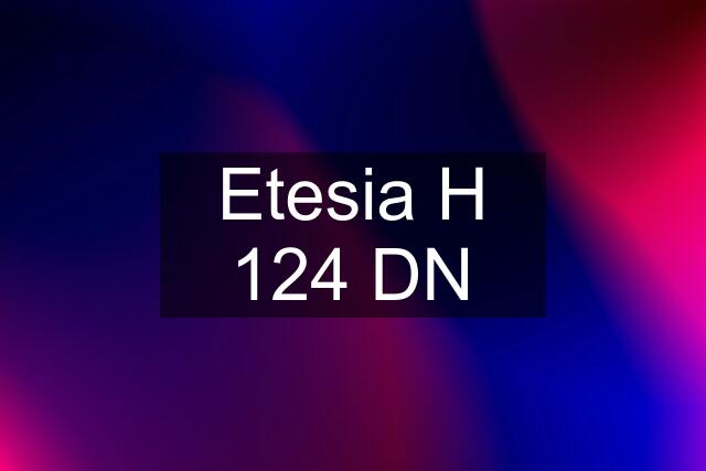 Etesia H 124 DN