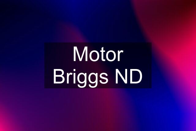 Motor Briggs ND