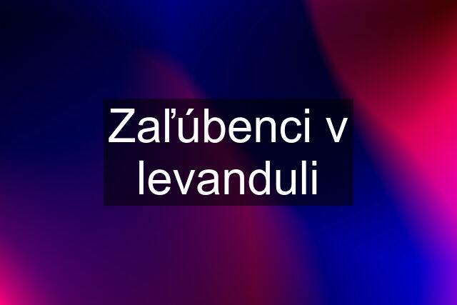 Zaľúbenci v levanduli