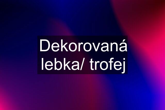 Dekorovaná lebka/ trofej