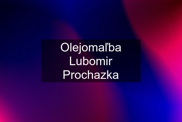 Olejomaľba Lubomir Prochazka