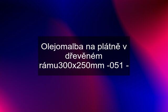 Olejomalba na plátně v dřevěném rámu300x250mm -051 -