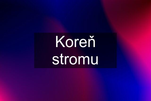 Koreň stromu