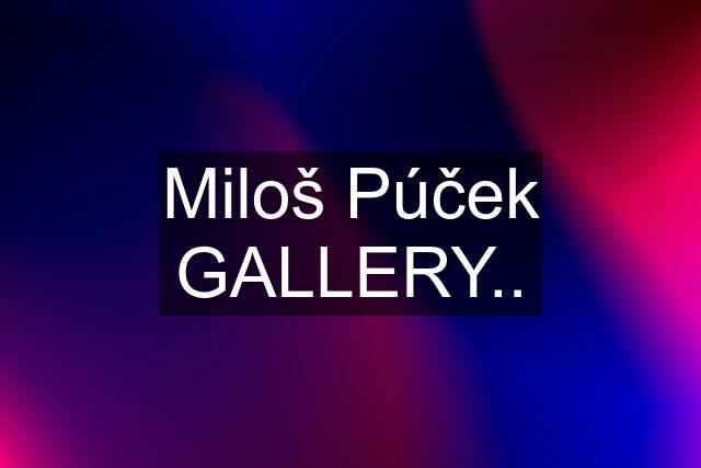 Miloš Púček GALLERY..