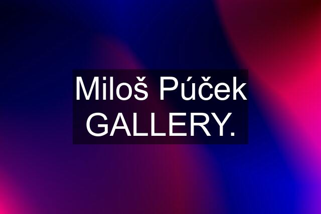 Miloš Púček GALLERY.