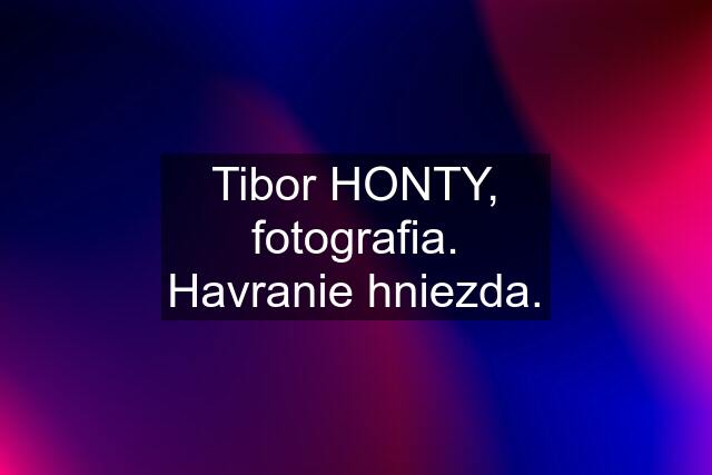 Tibor HONTY, fotografia. Havranie hniezda.