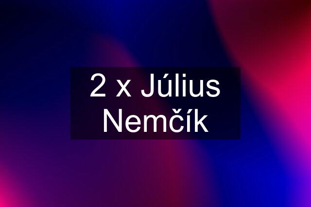 2 x Július Nemčík