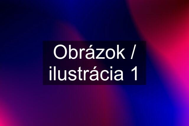 Obrázok / ilustrácia 1