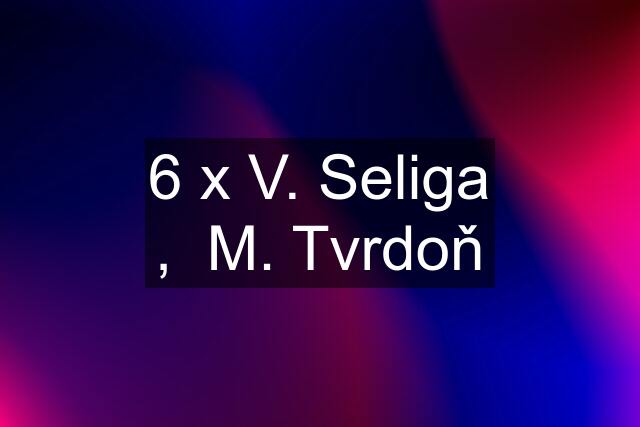 6 x V. Seliga ,  M. Tvrdoň