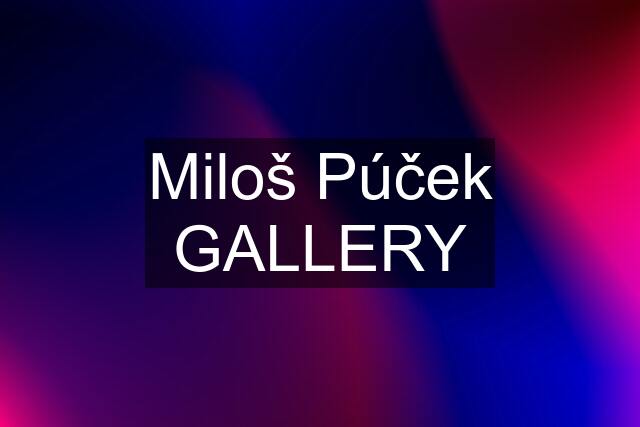 Miloš Púček GALLERY