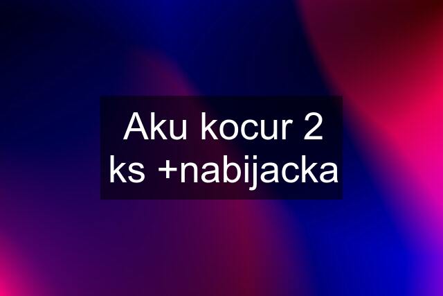 Aku kocur 2 ks +nabijacka