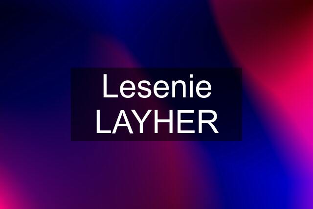 Lesenie LAYHER