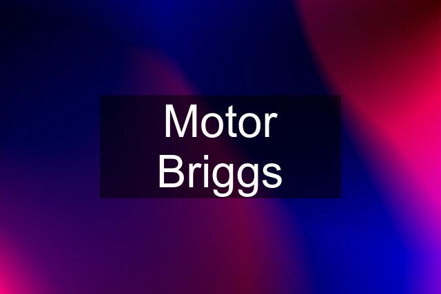 Motor Briggs