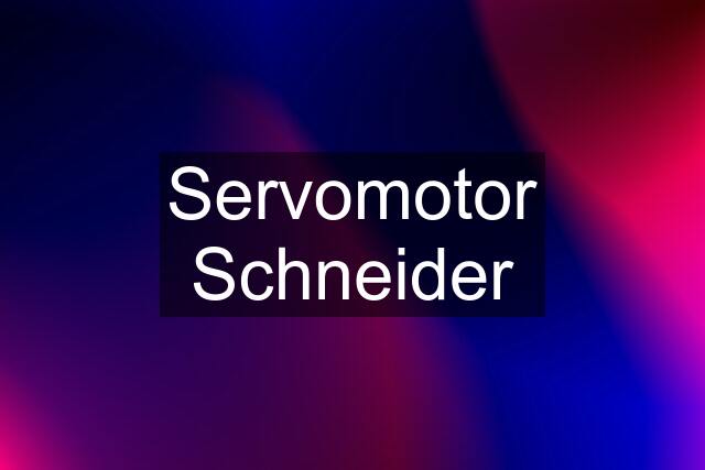 Servomotor Schneider