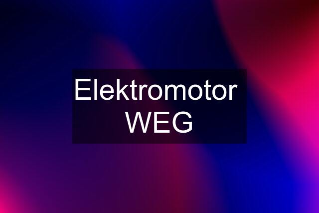 Elektromotor  WEG