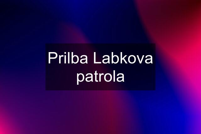Prilba Labkova patrola