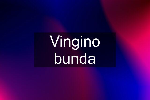 Vingino bunda