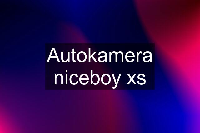 Autokamera niceboy xs