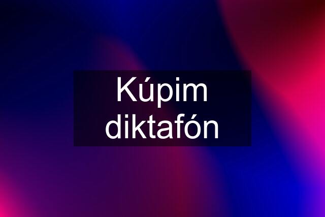 Kúpim diktafón