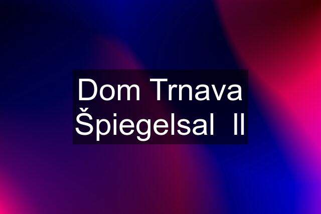 Dom Trnava Špiegelsal  ll