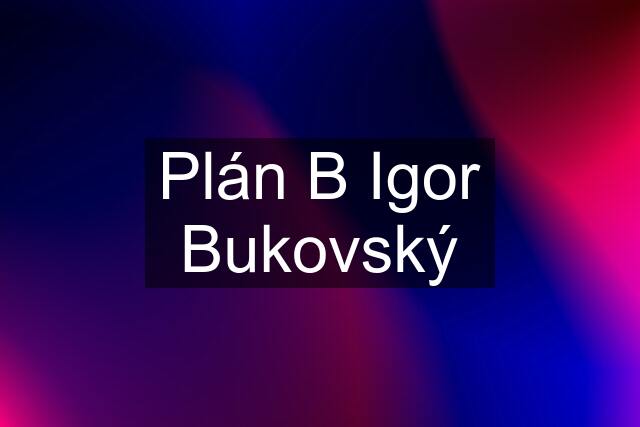 Plán B Igor Bukovský
