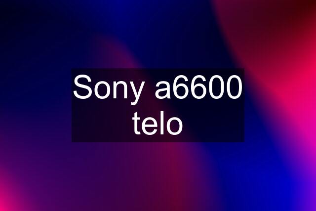 Sony a6600 telo