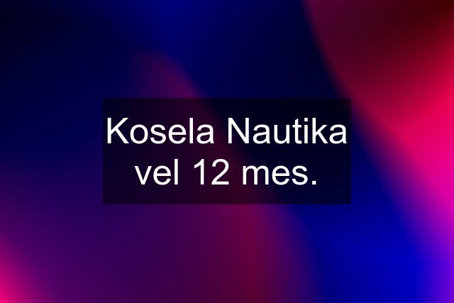 Kosela Nautika vel 12 mes.