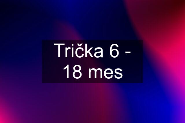 Trička 6 - 18 mes