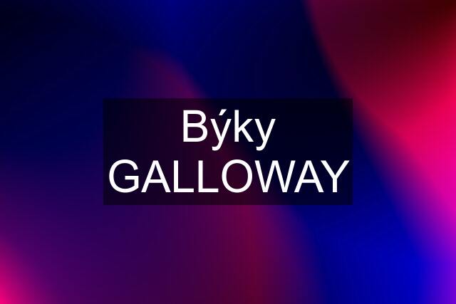 Býky GALLOWAY