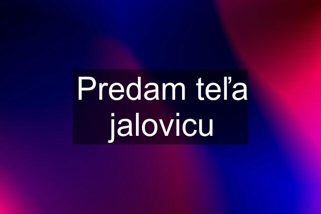 Predam teľa jalovicu