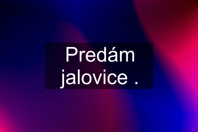 Predám jalovice .