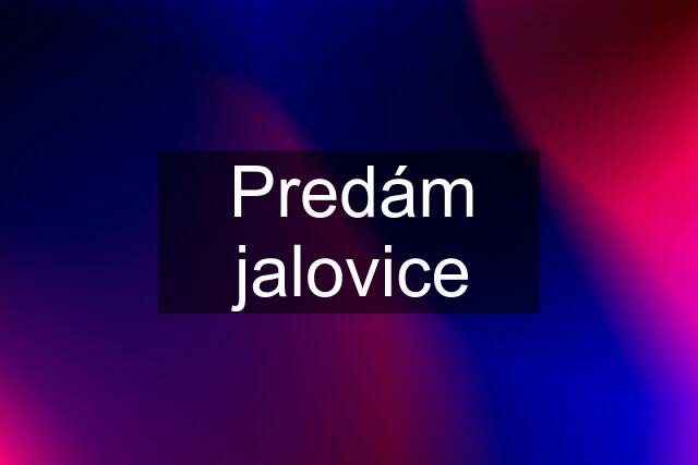 Predám jalovice