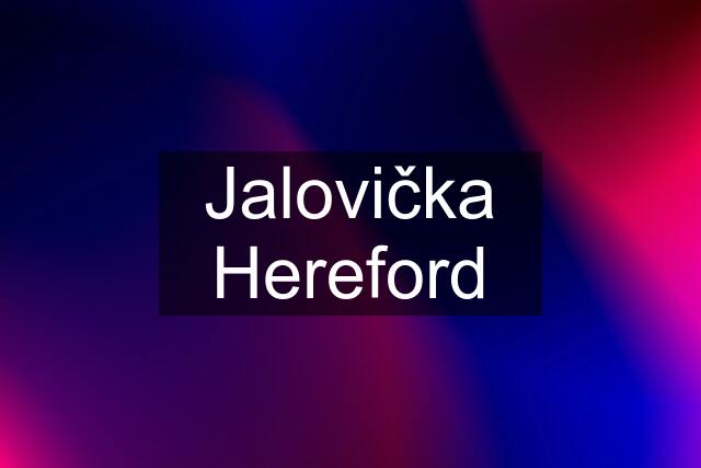 Jalovička Hereford