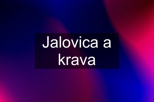 Jalovica a krava