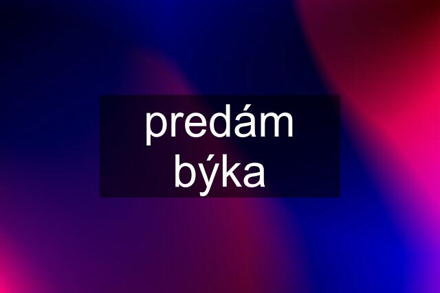 predám býka