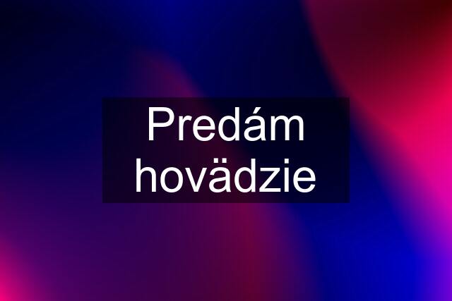 Predám hovädzie