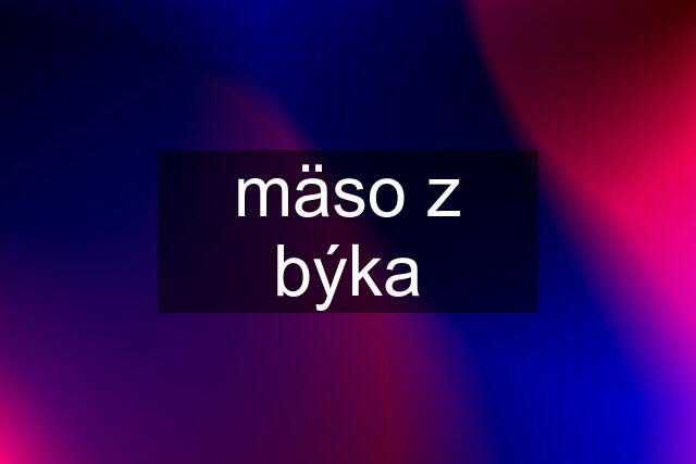 mäso z býka