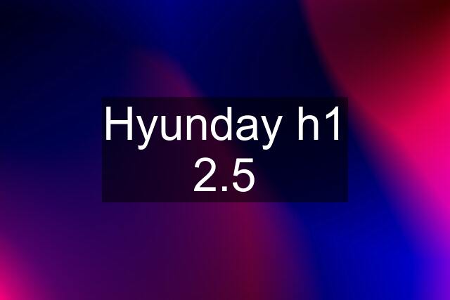 Hyunday h1 2.5