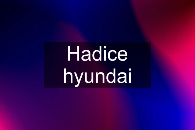 Hadice hyundai