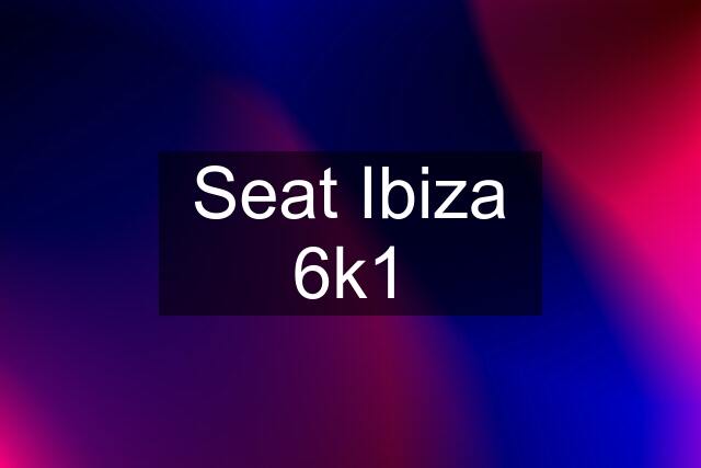 Seat Ibiza 6k1
