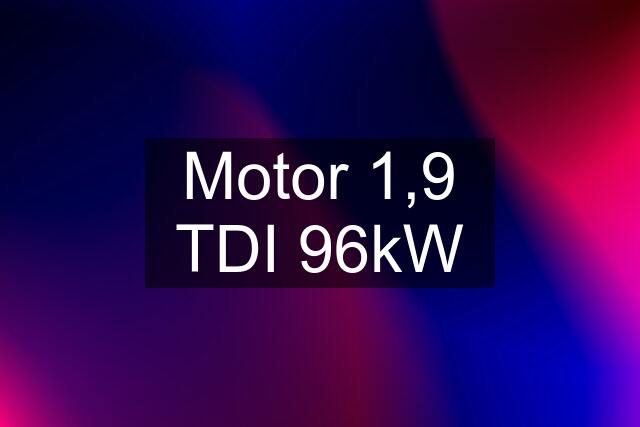 Motor 1,9 TDI 96kW