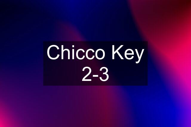 Chicco Key 2-3